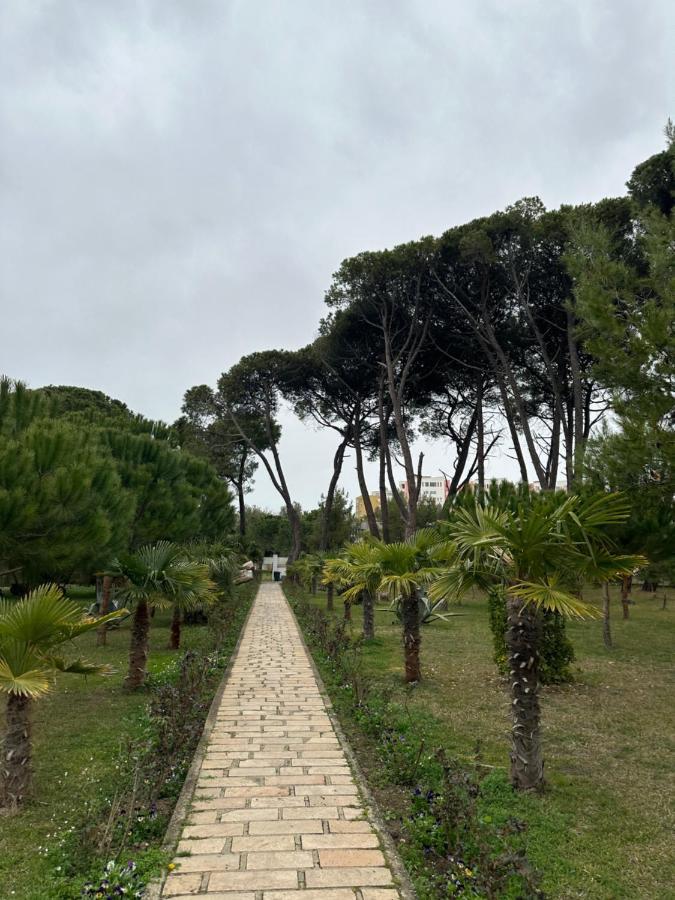 Dhoma Me Qera Ditore/javore Apartament Durrës